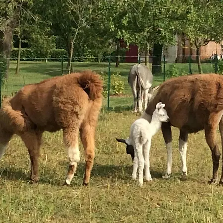Nyaraló Pavillon De La Garde