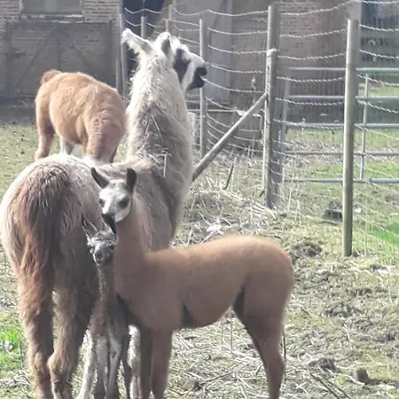 Pavillon De La Garde 別荘 *