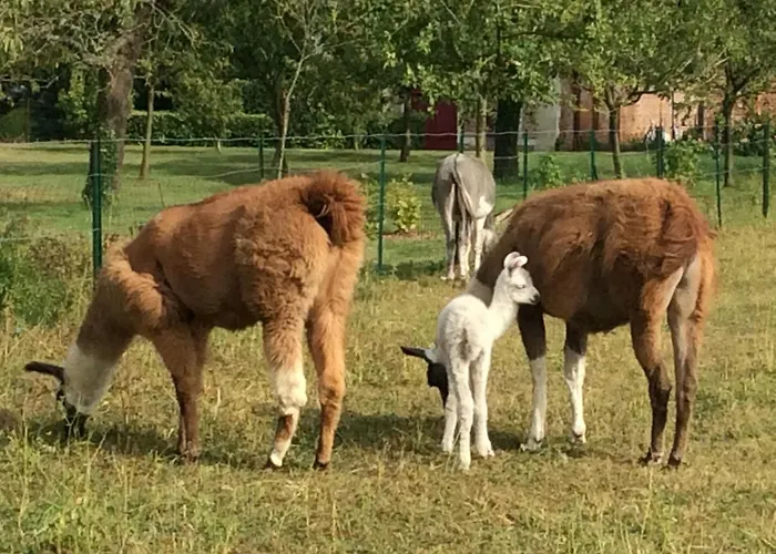 펜션 Pavillon De La Garde